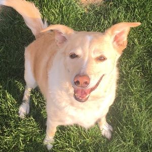 Meet your Posher, Brooke